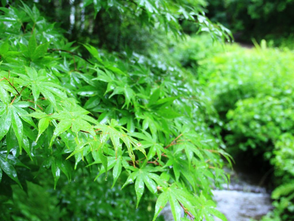 Kose Onsen Otel Karuizawa Dış mekan fotoğraf