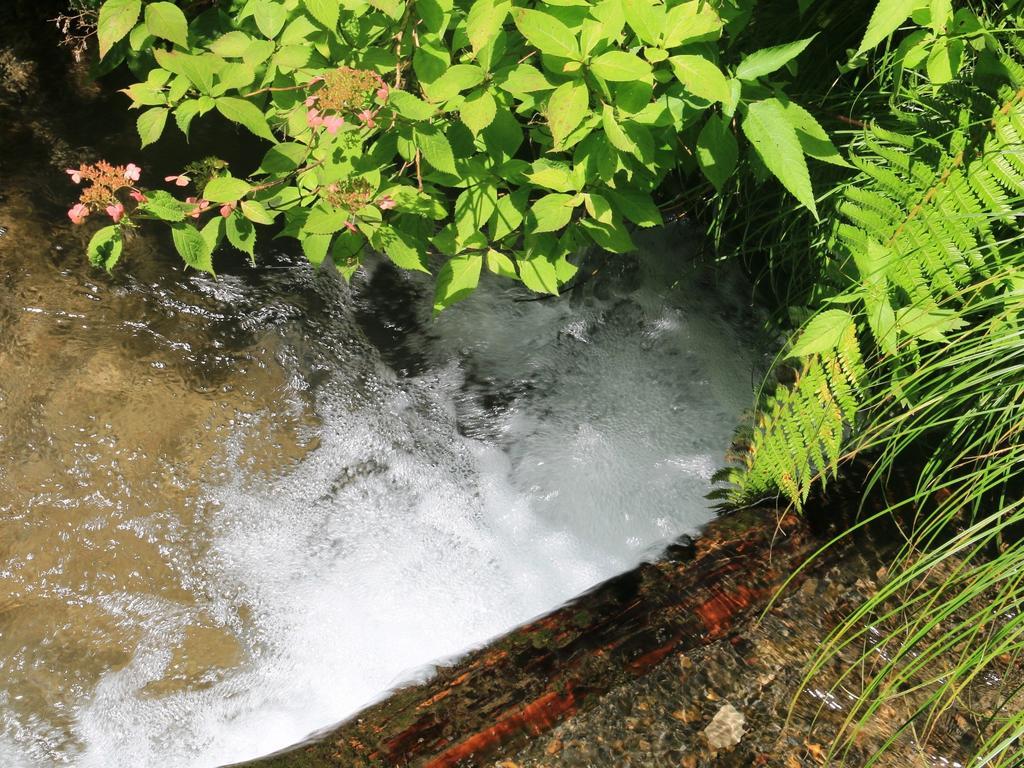 Kose Onsen Otel Karuizawa Dış mekan fotoğraf